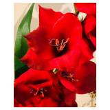 Festive Home Decor and Faux Fruit