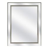 Home Decorators Collection 20 in. W x 26 in. H Rectangular Medicine Cabinet with Mirror