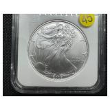 2006 American Silver Eagle NGC MS69 NGC Price Guide is $65