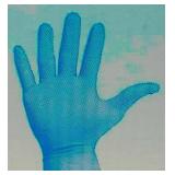 TAC Case of- Powder Free Blue Nitrile Gloves Size XL (1000 gloves)