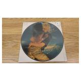 Rod Stewart - Blondes Have More Fun - Picture Disc - 1978 - Vinyl LP
