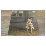 Cary Simon-Boys in the Trees-1978-Vinyl LP