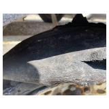 1982 Crestliner Nordic - Boat