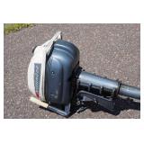Evinrude Lightwin 3 HP Outboard Motor