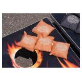Harley Davidson Bean Bag Boards with Bags