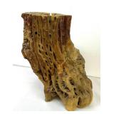 Cholla Wood Planter