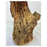 Cholla Wood Planter
