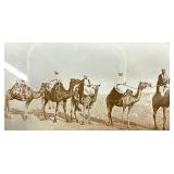 Magic Lantern Slides - 170 Slides