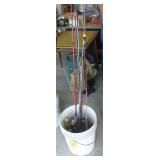 Bucket full of spinning reel fishing rods