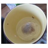 Enamel ware pot and extra large roaster