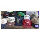 Group of 10 ball caps
