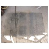 4 Colony Muskrat Traps