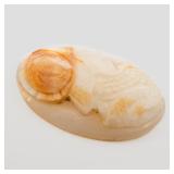 Large SHELL CAMEO - Oval Phrygian Warrior