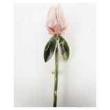 Pink Long Stem Rose Enamel Brooch .