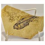 Travel Treasure Home Decor
