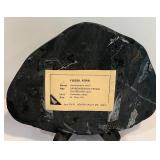 Vintage Fern Fossil