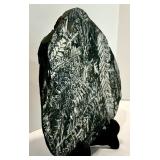 Vintage Fern Fossil