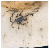 Artisan Crafted Horse Hair Pottery Bowl with Floral Frog