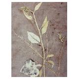 Beautiful Floral Unframed Print