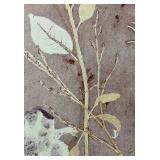 Beautiful Floral Unframed Print