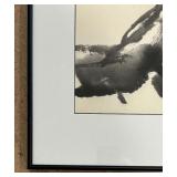 Lovely Framed Print  by Betty Johnson