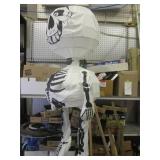(EW3) 4 Ft Hanging Skeleton Hallowe...
