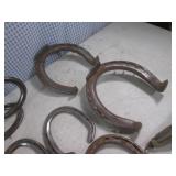 (BSB) Assorted Horse Shoes, Trap an...