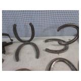 (BSB) Assorted Horse Shoes, Trap an...