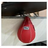 Everlast Punching Bag with Mount