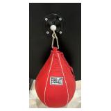 Everlast Punching Bag with Mount