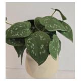 Faux Potted Plant Grouping