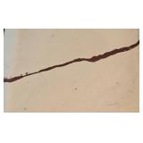 Unique Pottery Selection