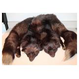 Fox Fur Stole