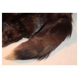 Fox Fur Stole