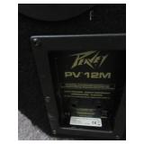 PEAVEY SPEAKERS AND FLOOR MONITOR