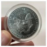 1999 Colorized American Silver Eagle