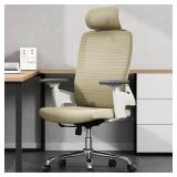 Fradiett Ergonomic Office Chair