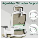 Fradiett Ergonomic Office Chair