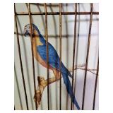 Vintage Birdcage Wall Art Pair with Parrot Illustrations