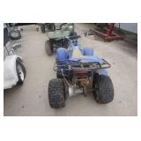 Xtreme Machine Model X-90 Mini ATV