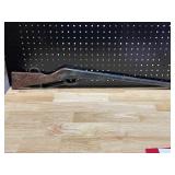 Daisy BB Gun