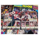 Sports Sticker Albums