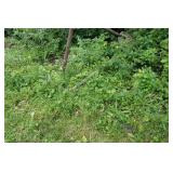 Set of Extra Wide Clothesline Posts