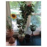 Collection of artificial plants wit...