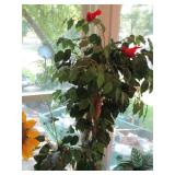 Collection of artificial plants wit...