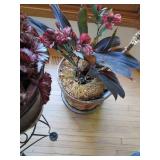 Trio of live plants in assorted sty...