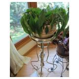 Trio of live plants in assorted sty...