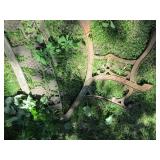 Cast Iron bench sides and back plat...