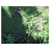 Cast Iron bench sides and back plat...