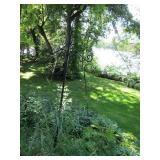 Tall metal shepherds hooks and bird...